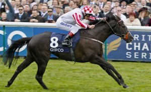 Sole Power Haydock Sprint Cup Preview