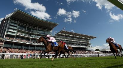 York Ebor Meeting Betting Tips