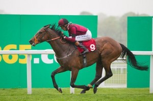 Windshear Horse Doncaster St Leger