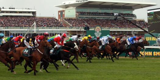 Grand National 2015 Horses