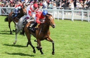 Integral Horse Newmarket