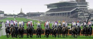 Horse approach the final straight at the Cheltenham Festival.