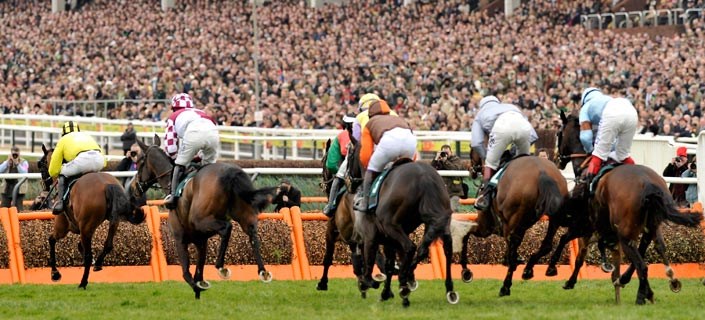 Cheltenham Gold Cup