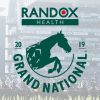 Aintree grand National 2019 Logo